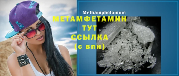 индика Медногорск