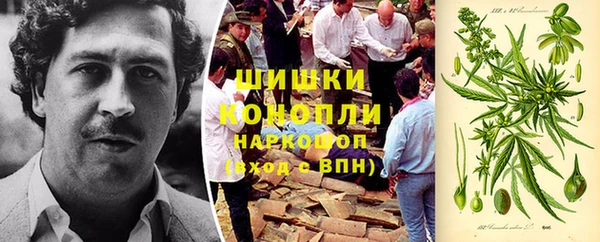 индика Медногорск