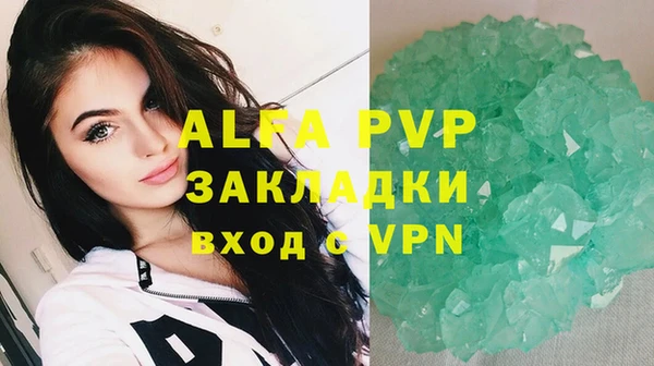 индика Медногорск