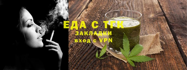 индика Медногорск