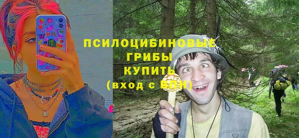 мдпв Медвежьегорск