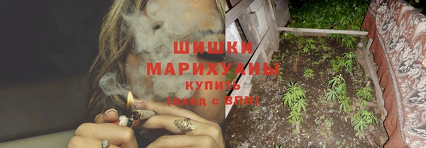 индика Медногорск