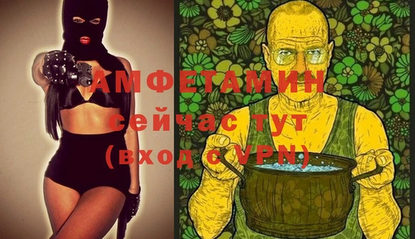 индика Медногорск